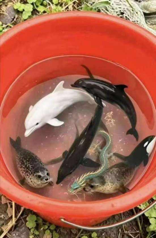 小希哭唧唧发布的第2张图片