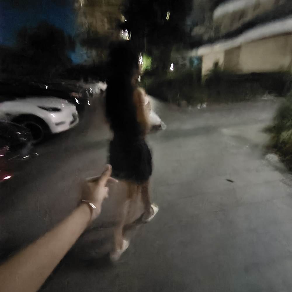 忧郁小羊发布的第3张图片