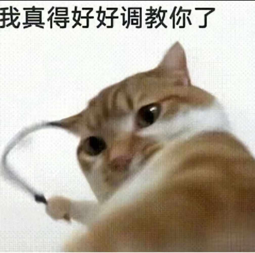 Mr.North发布的第1张图片