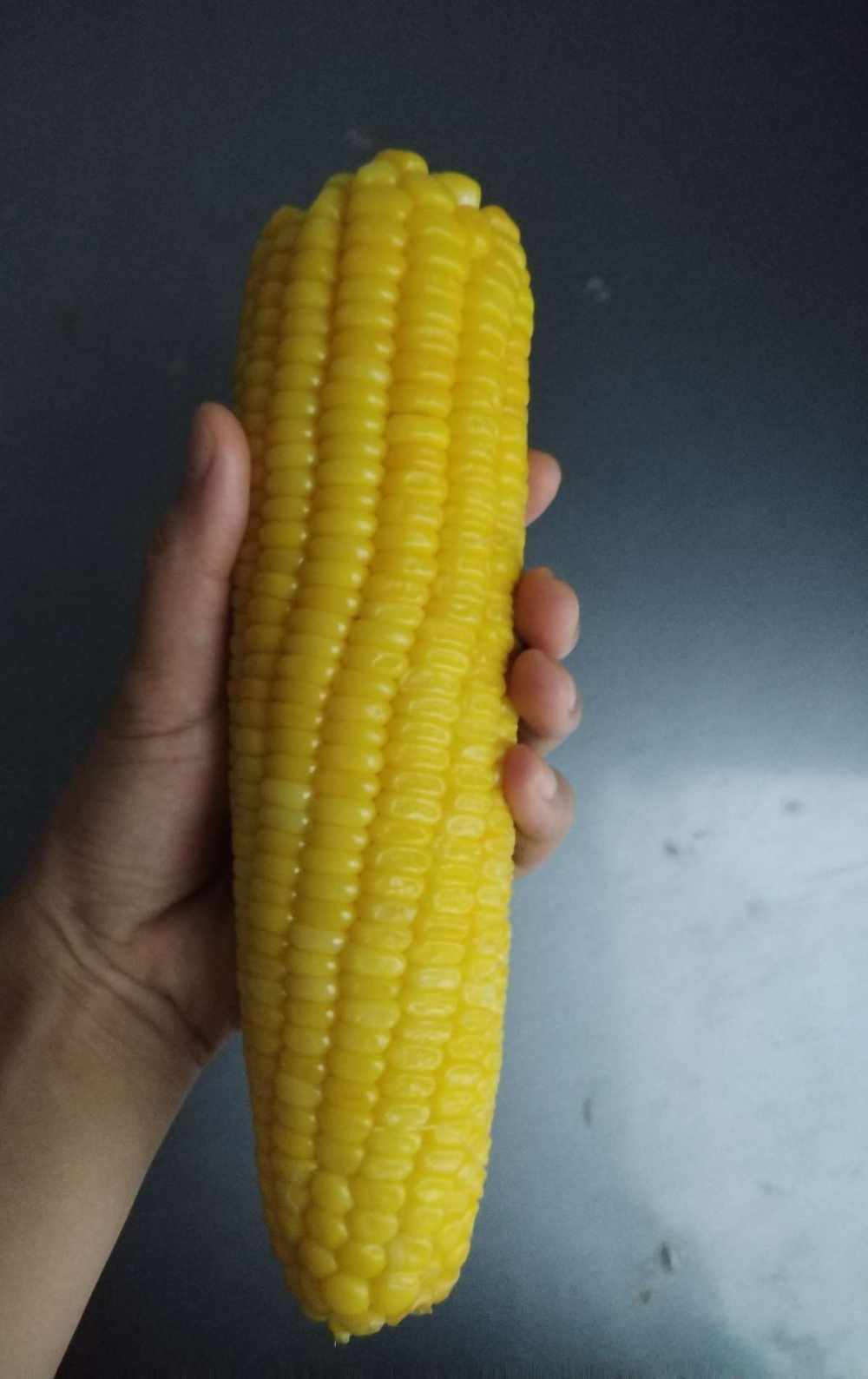 阿萸发布的第1张图片