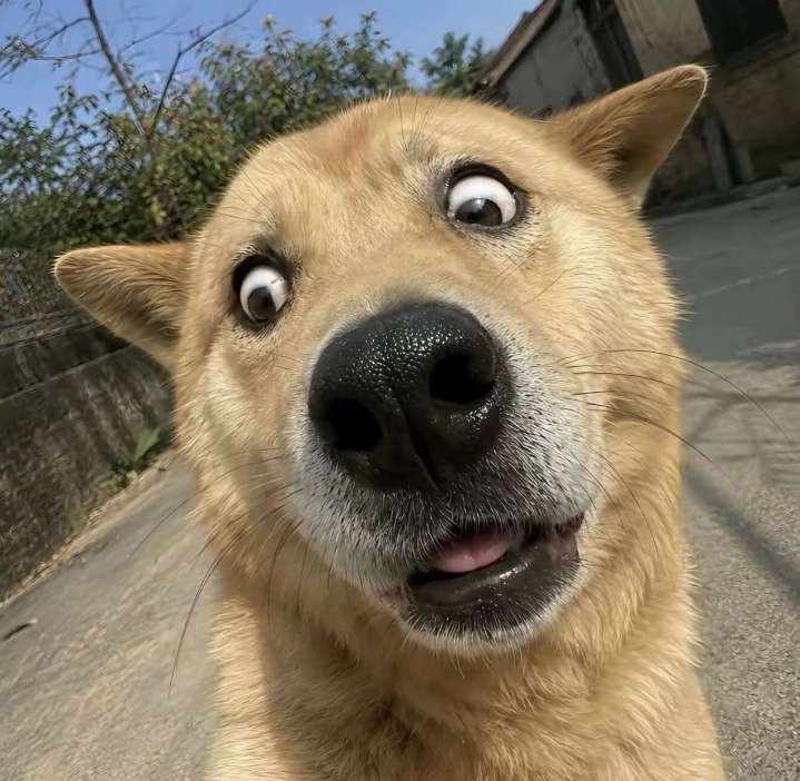 洛七七发布的第1张图片