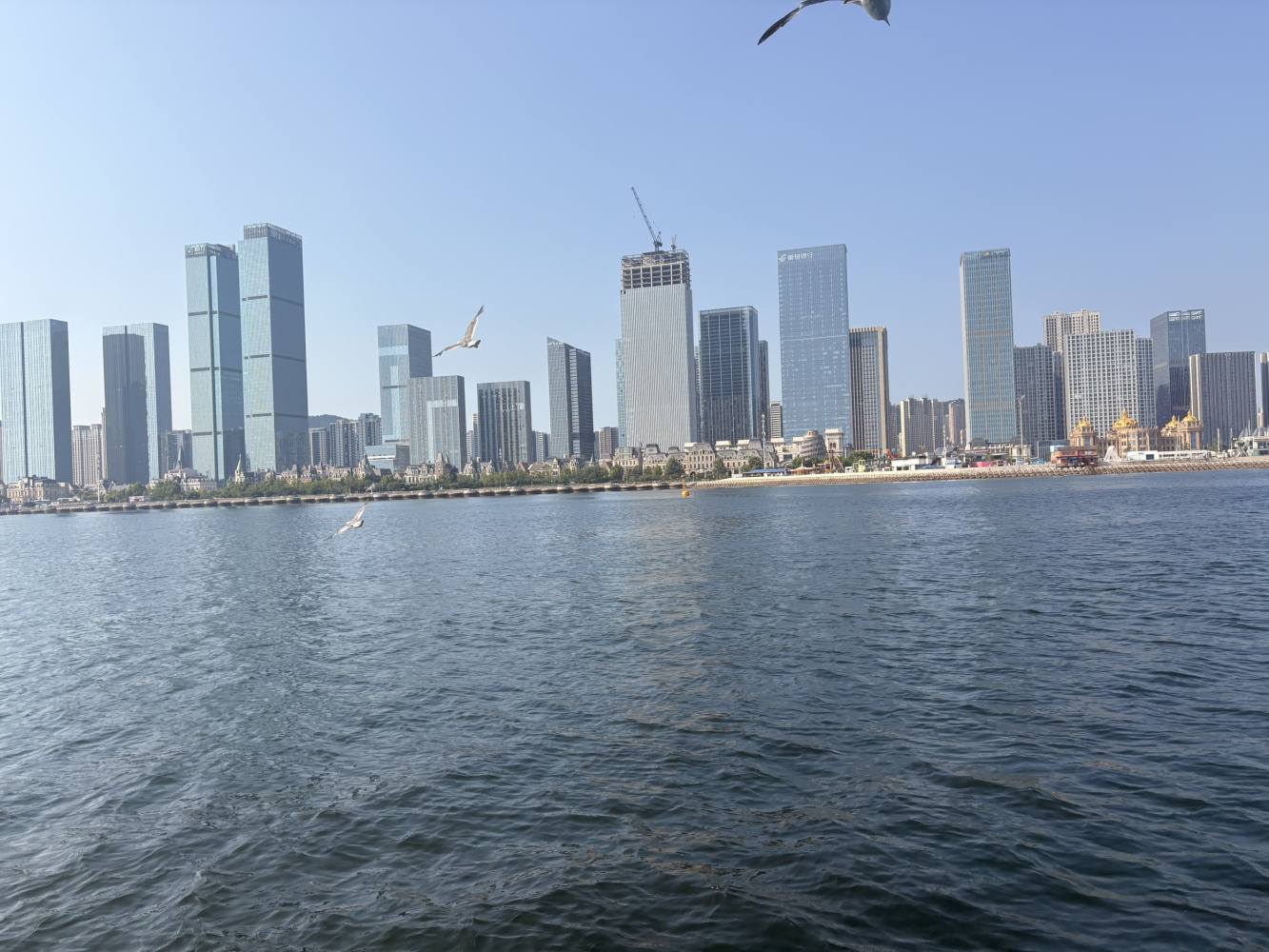 花海ð发布的第2张图片