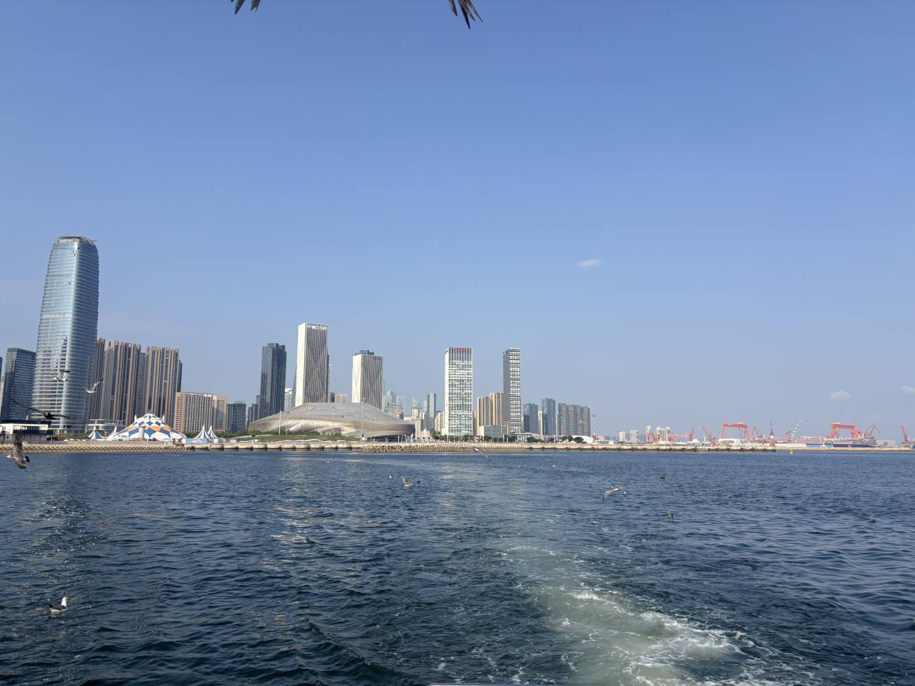 花海ð发布的第1张图片