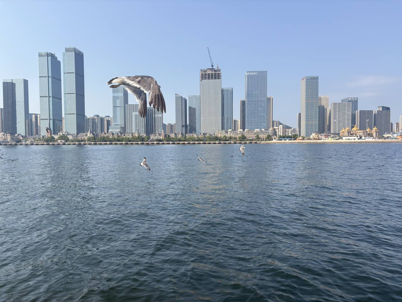 花海ð发布的第3张图片