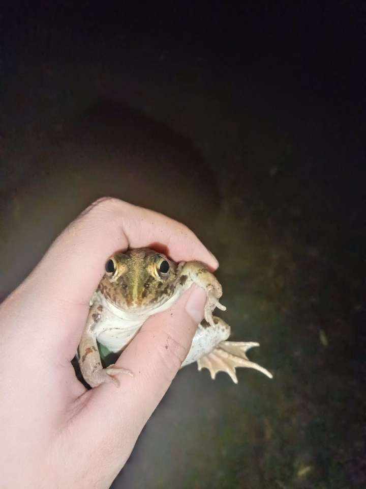姜姜大王a发布的第3张图片
