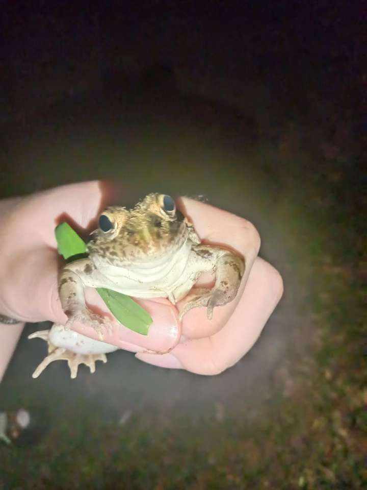 姜姜大王a发布的第4张图片