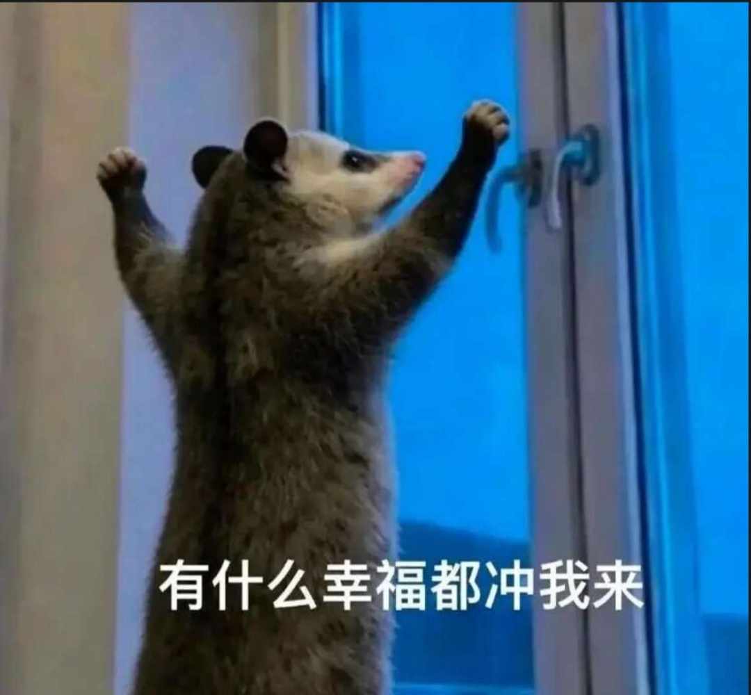 Younni发布的第1张图片