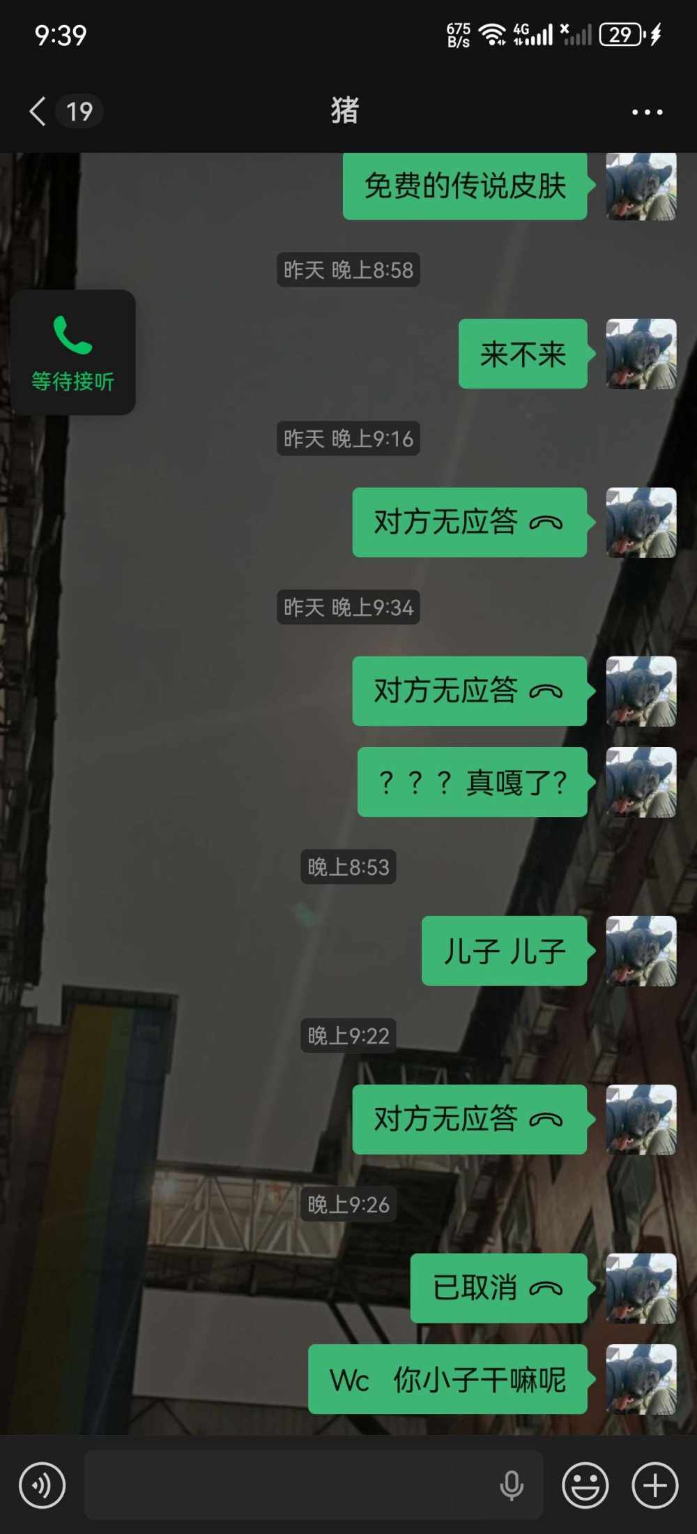最傻的狗仔发布的第1张图片