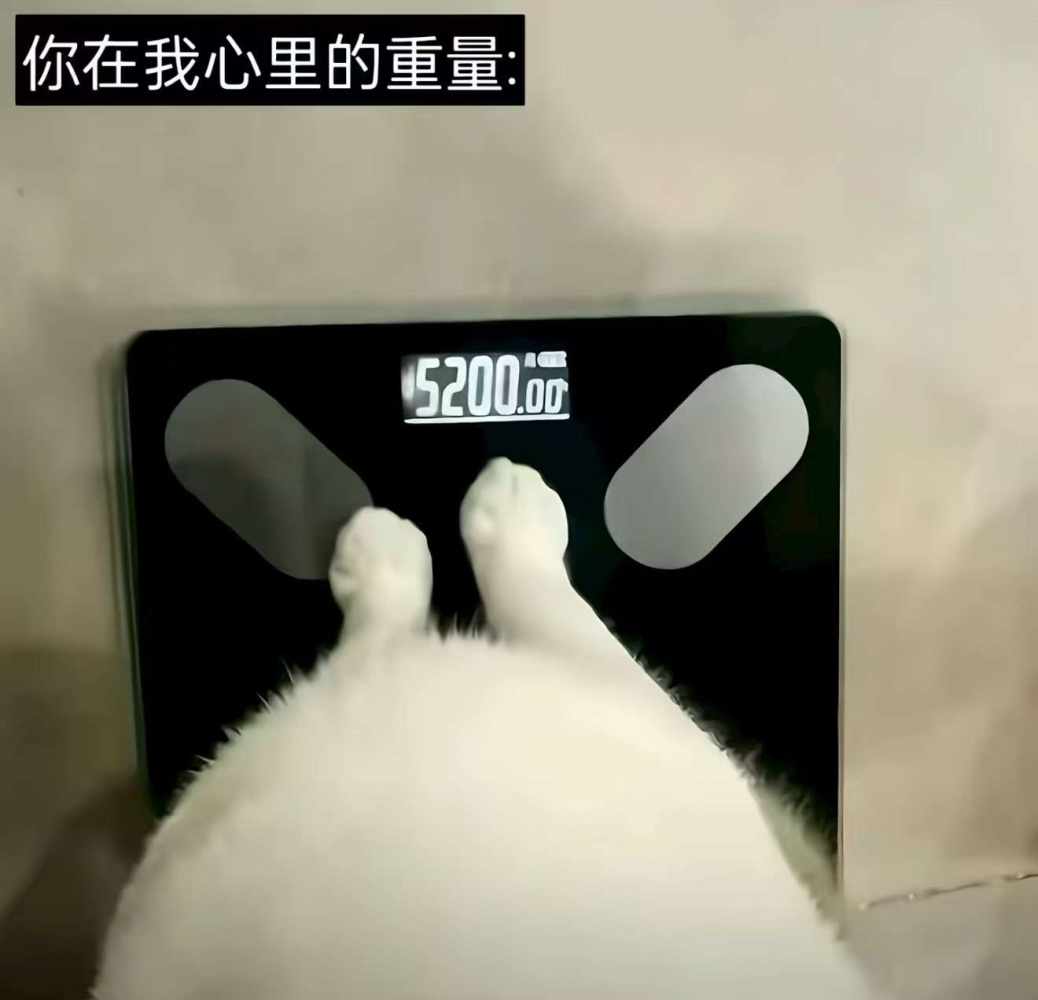 ｡>🐽<｡发布的第1张图片