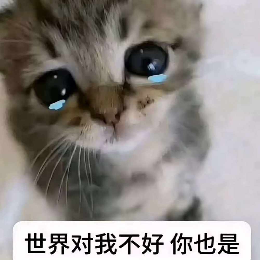 浅痣发布的第1张图片