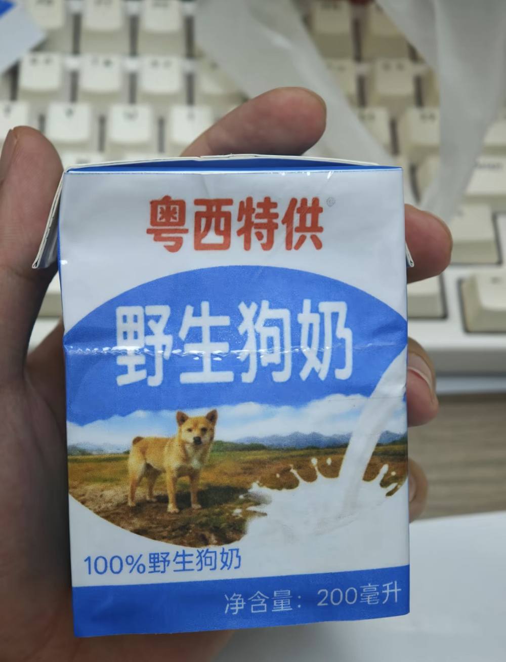 清景发布的第1张图片