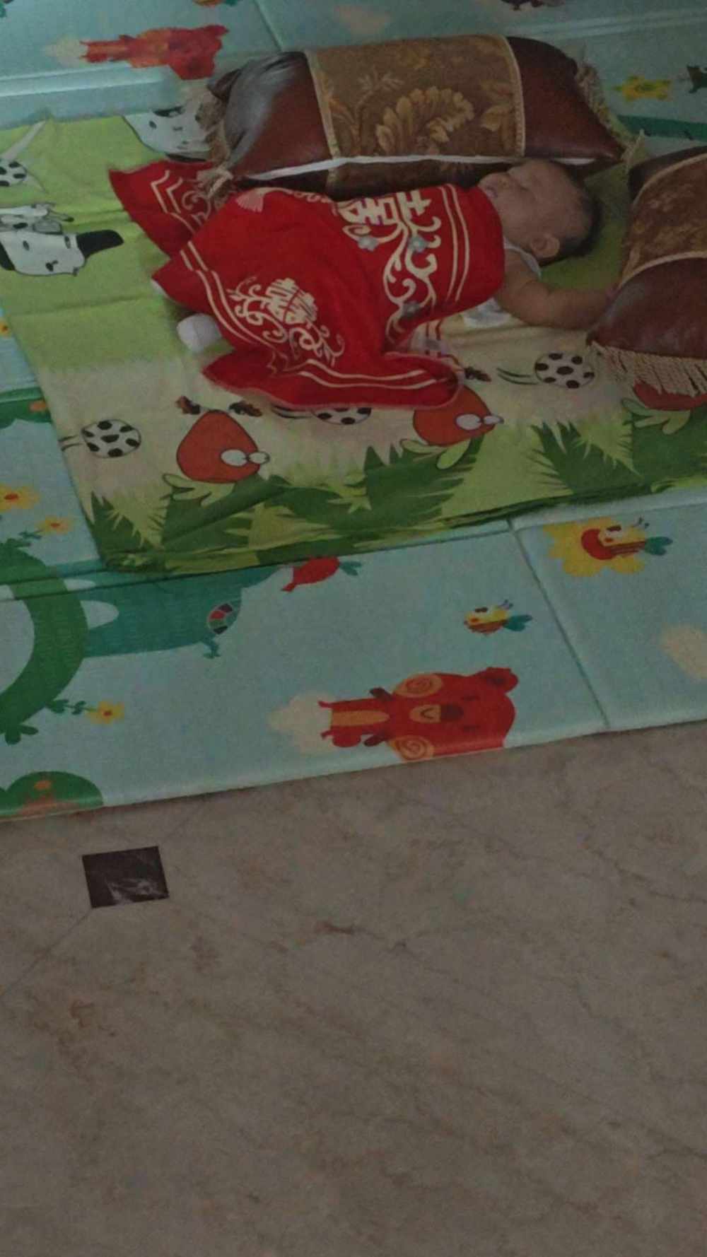 浮想发布的第1张图片