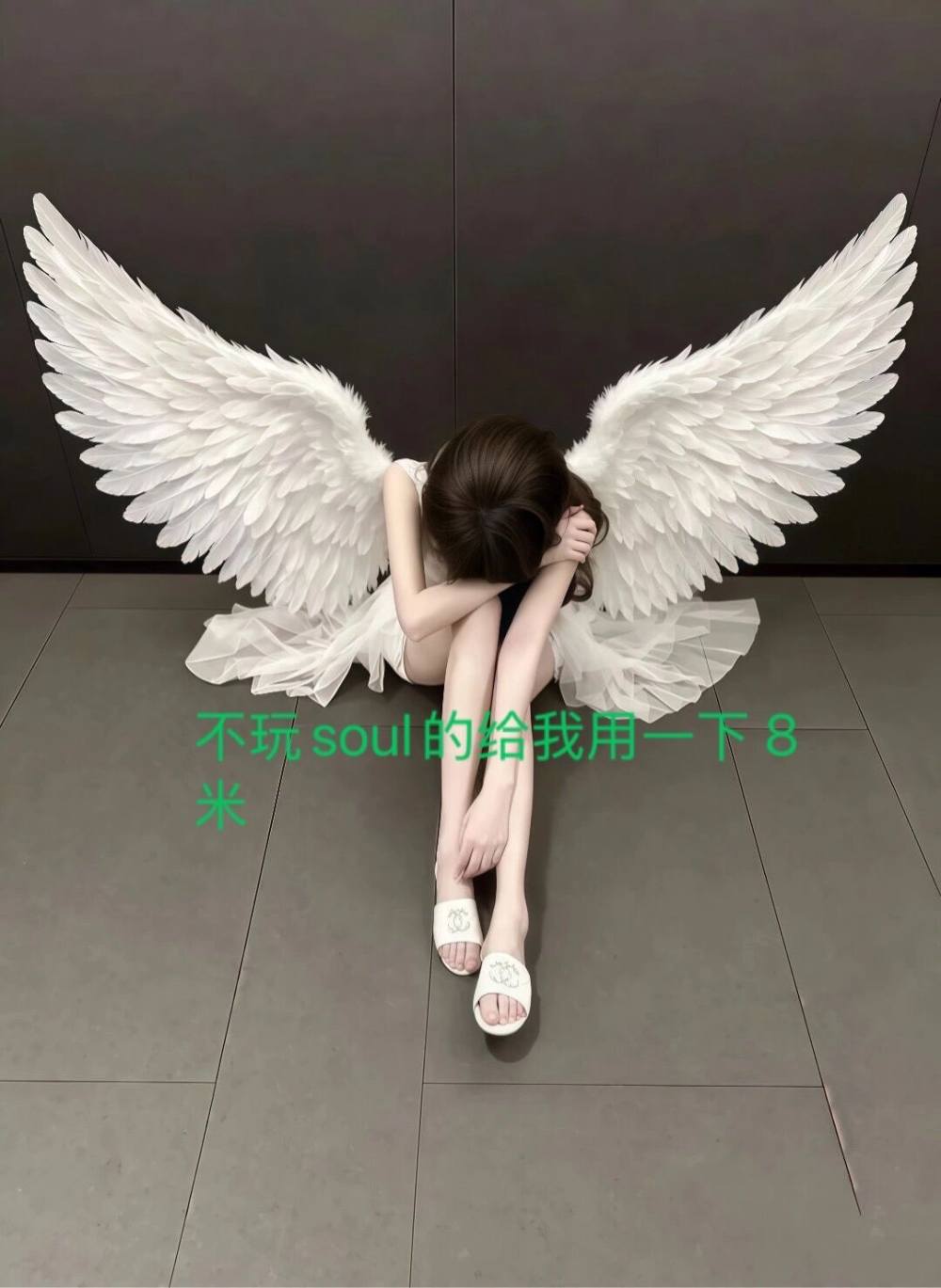 美琳·发布的第1张图片