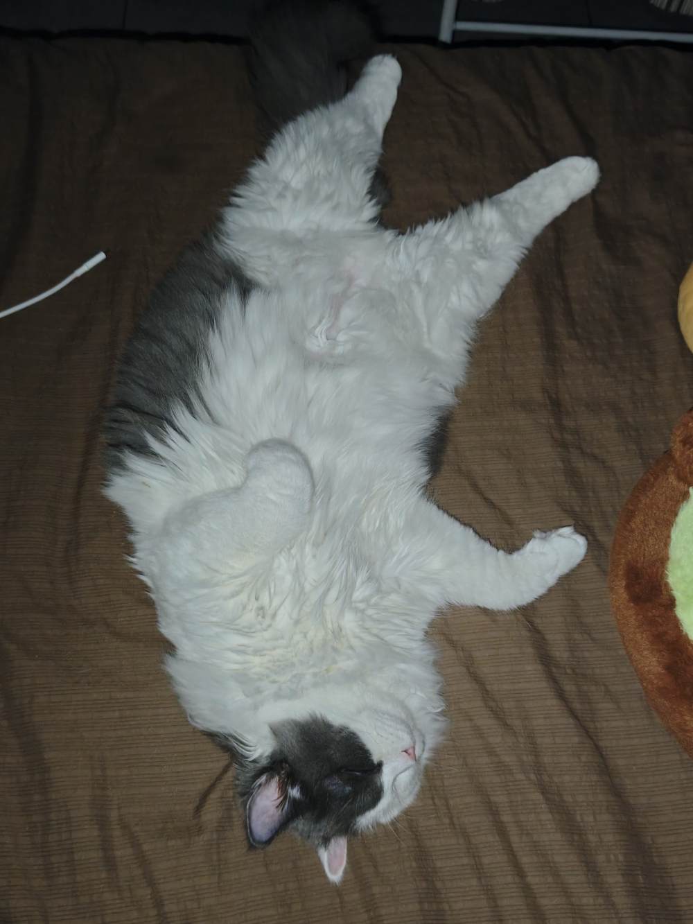祝我好运②（不接单不聊天只记录）发布的第1张图片