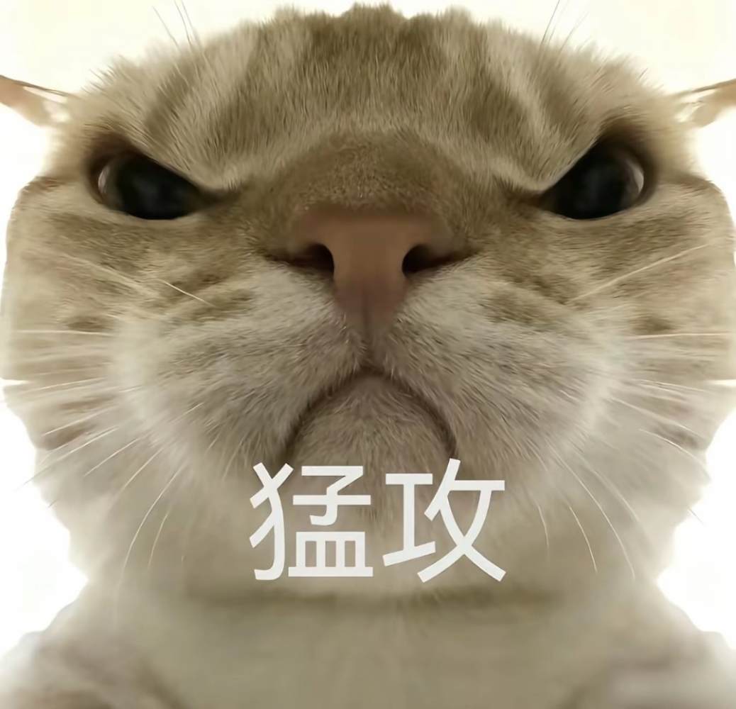 恂云发布的第2张图片