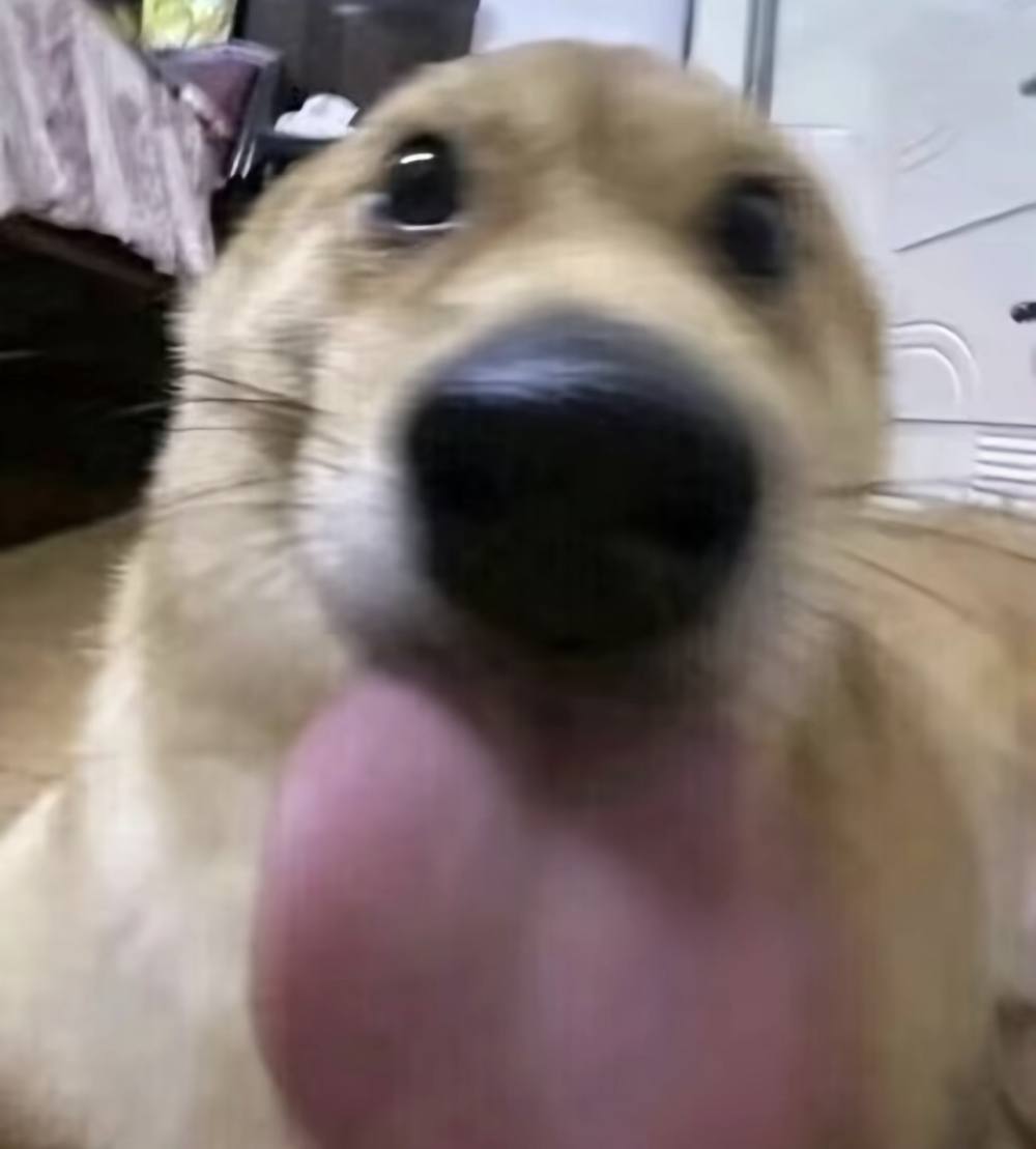 京江发布的第1张图片