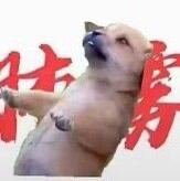 京江发布的第1张图片