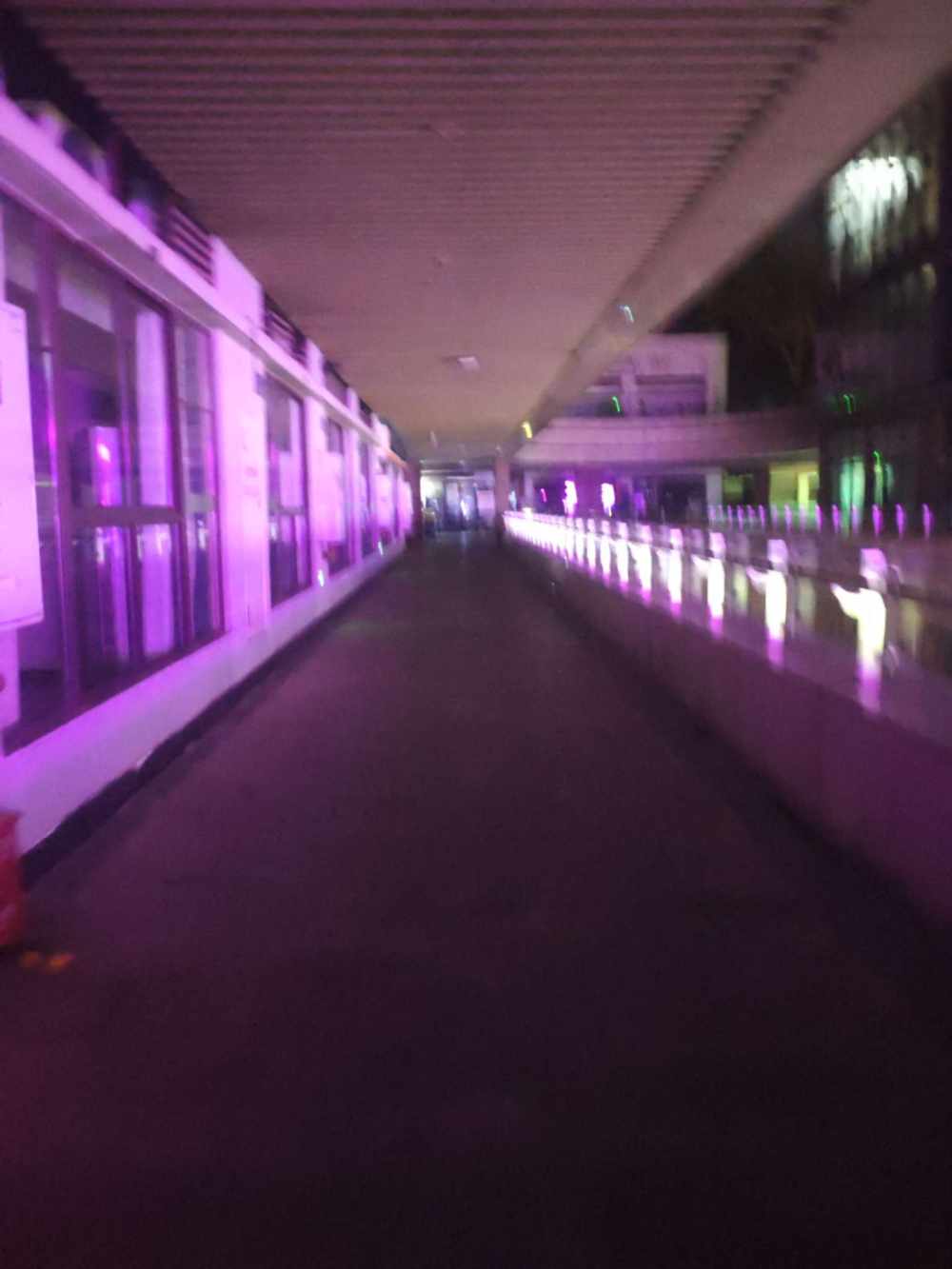 浮想发布的第1张图片