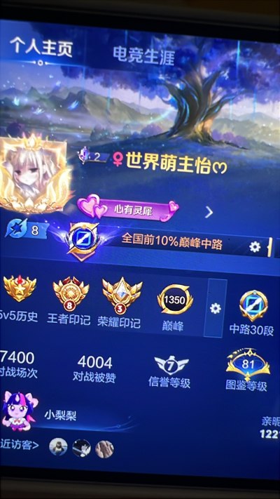 王者荣耀服务图片1