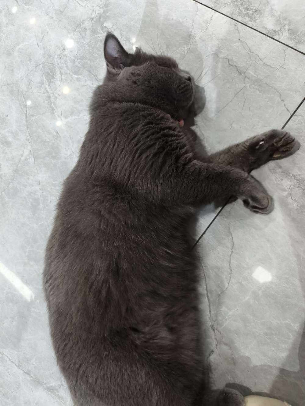 树洞💚图片1