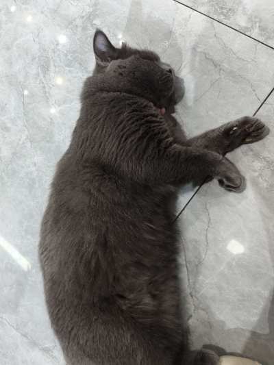 树洞💚服务图片1