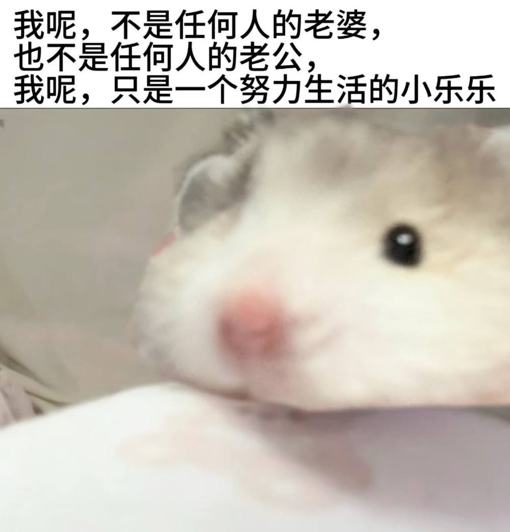 造谣发布的第1张图片