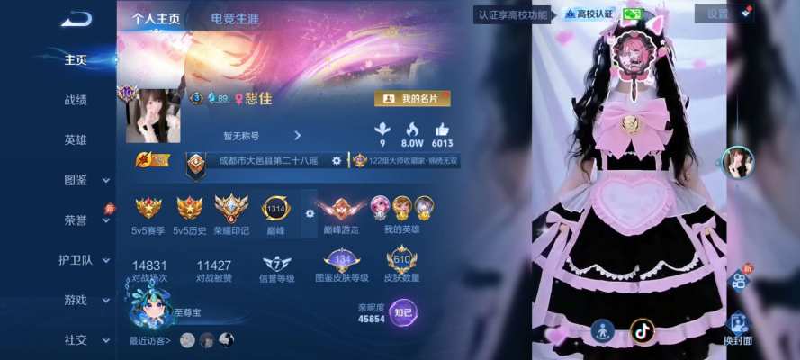 王者 娱乐局服务图片1