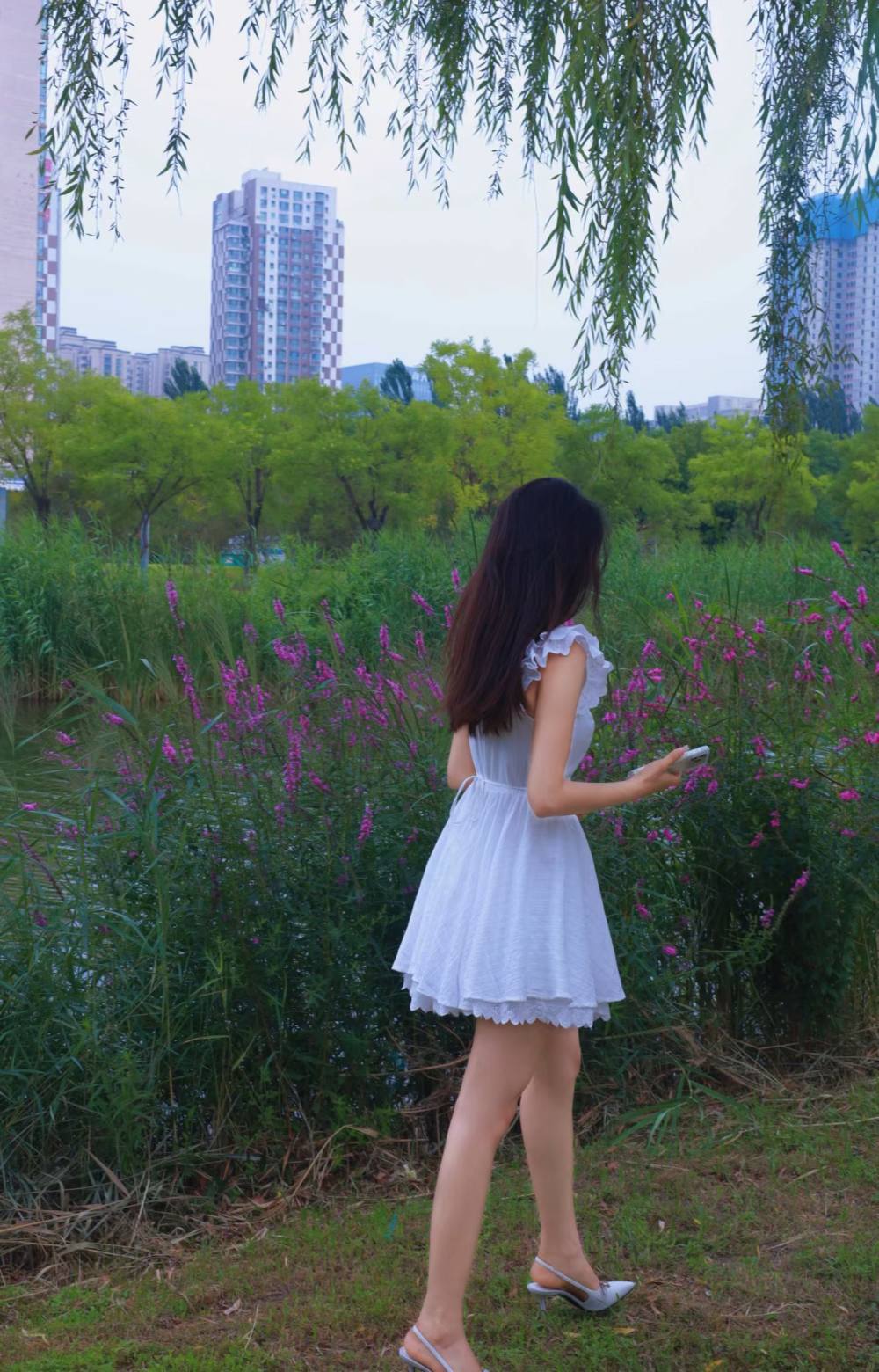 桔梗..发布的第1张图片