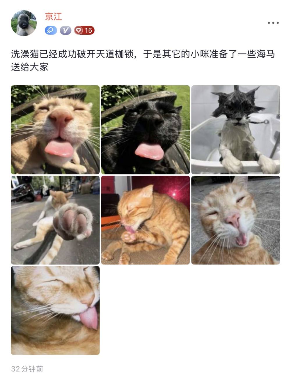 京江发布的第1张图片