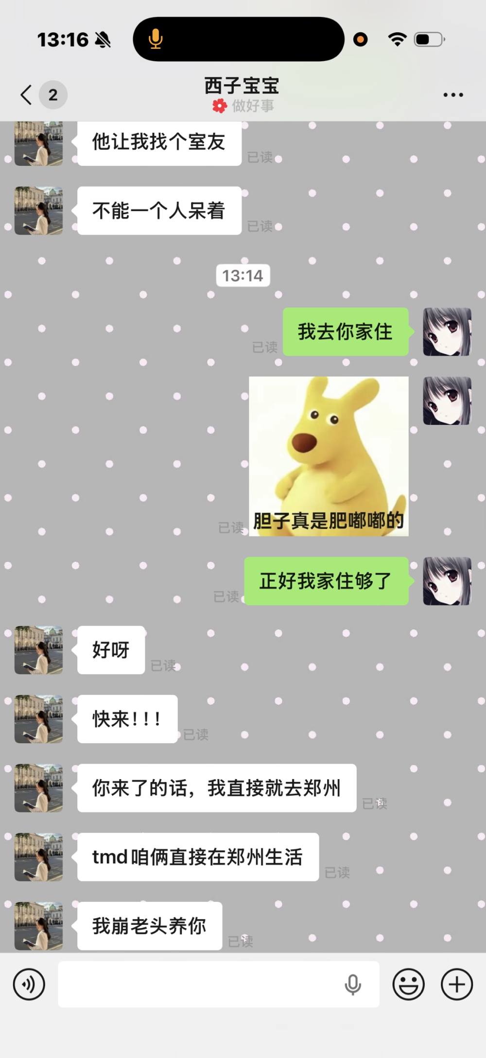 造谣发布的第1张图片