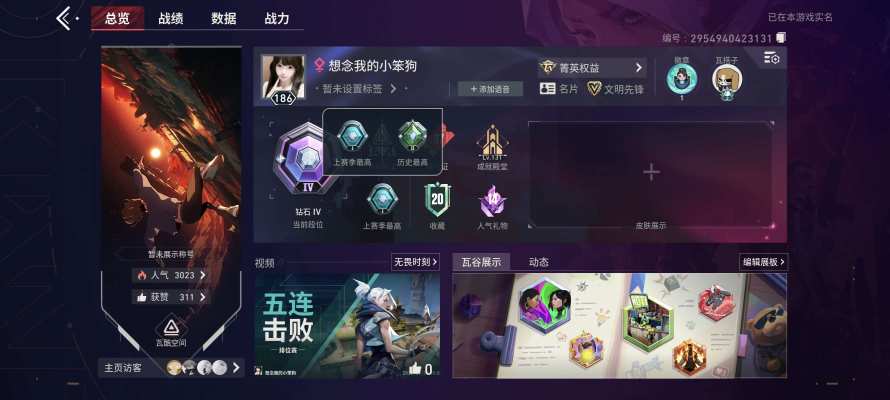 手瓦开心双排 不包赢服务图片1
