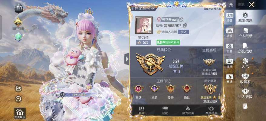和平精英服务图片1