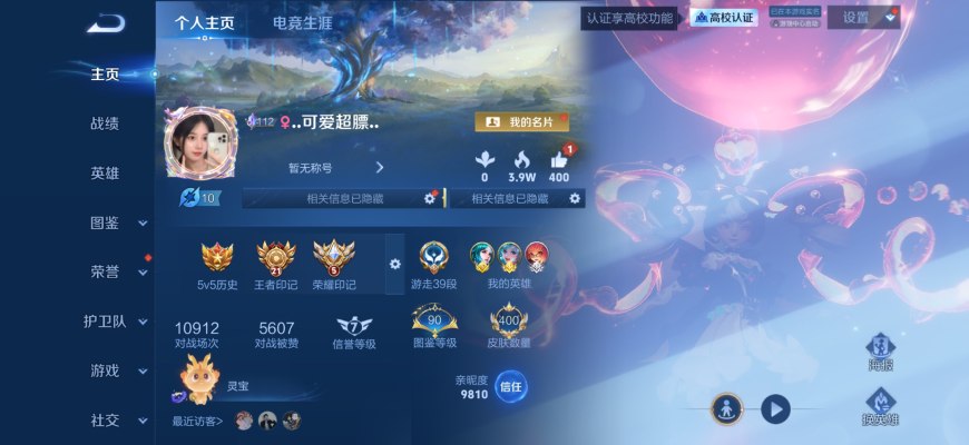 王者荣耀服务图片1