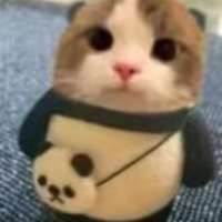 姐姐你好会头像