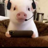 免亥头像