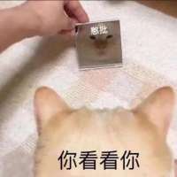****吖头像