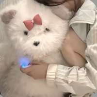 七岁大王头像