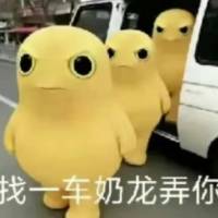 🐟my头像