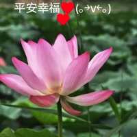 ******女头像