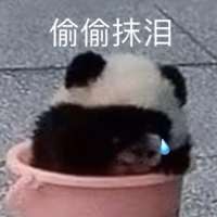 **.头像