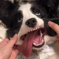 困了le.✨头像
