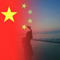 树叶🍬头像