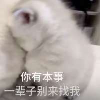 体质头像