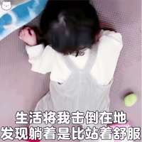 体质头像