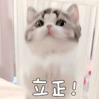 体质头像