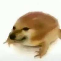 ****新头像