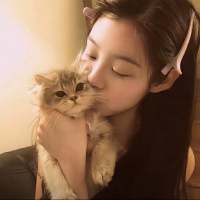 小猫QvQ头像