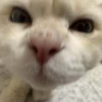 鳄鱼_1105头像