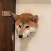 ****7头像