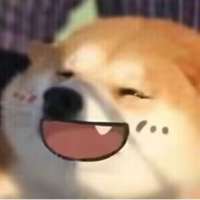 ****5头像